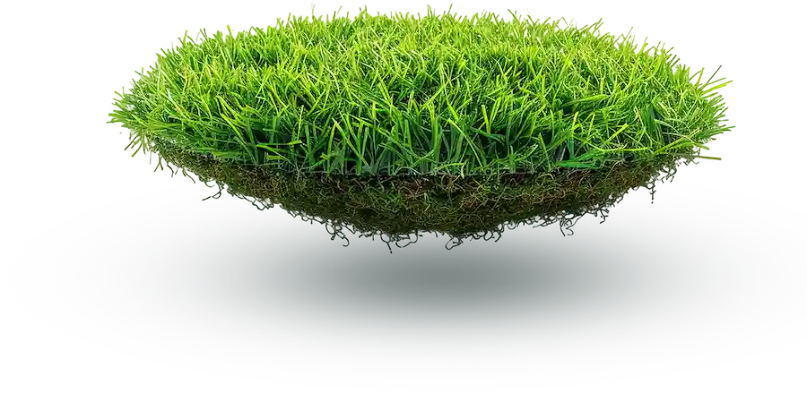 Elemento decorativo de vegetação GreenJet